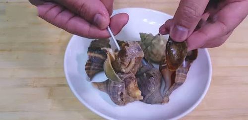 海螺怎么做最鲜美 一煮一切原汁原味,趁着媳妇不在家独自享用