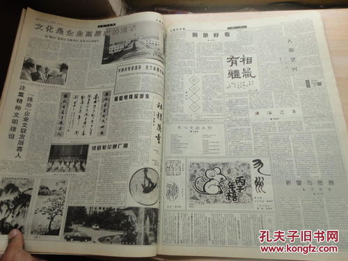 4开 中国艺术报 1996年1月5日 1996年7月19日