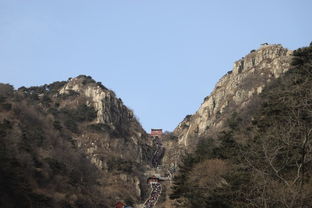 一路向北去泰山