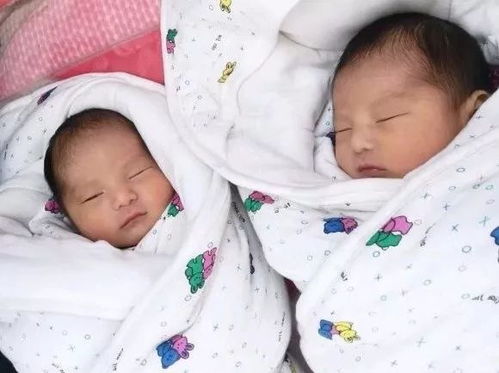 2020年2月出生男双胞胎,怎样起对好听 有阳光性的名字