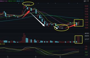 为什么那只国星光电股票跌了那麽多吖？从35跌到接近27　哎！