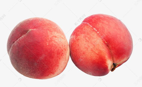 桃子图片水果真实,水蜜桃的资料