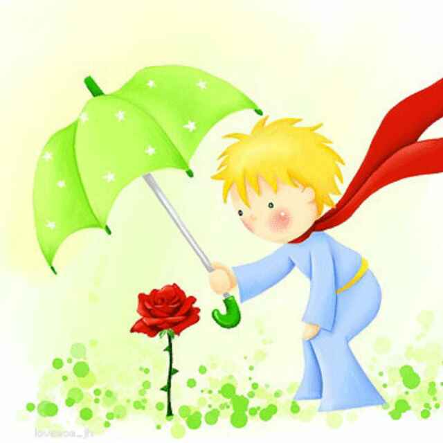 小王子的玫瑰花的寓意,小王子的玫瑰花：永恒之爱的寓意与启示