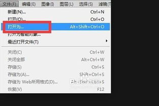 win10如何看arw文件