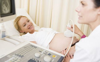 备孕影响受孕 试管婴儿快速怀孕秘诀