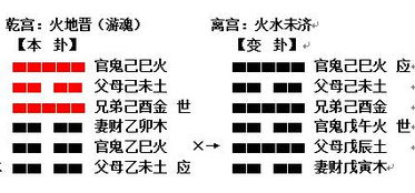 详解天价车牌为何引来破产厄运