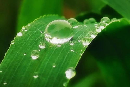 细雨轻轻敲我窗