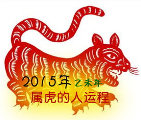 属虎的人2015年运程,2015年属虎人的运程 