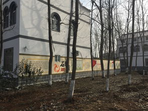 墙绘素材 新农村彩绘 围墙彩绘素材 讲文明树新风 公益墙画