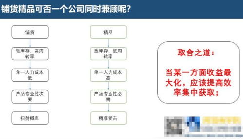 铺货or精品 ebay平台目前更适合那种方式