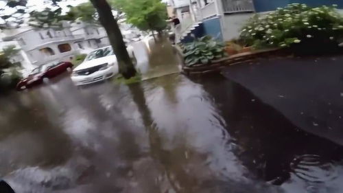 早上起来吓一跳,街道上都是洪水,这场雨下的太大了 