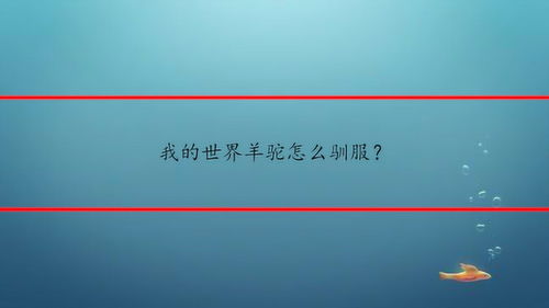 我的世界,羊驼怎么骑,我的世界羊驼怎么骑-第2张图片