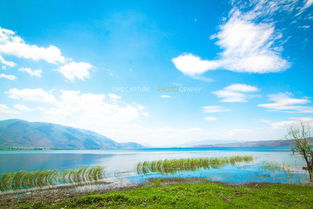 洱海 旅行的风景,在于心情