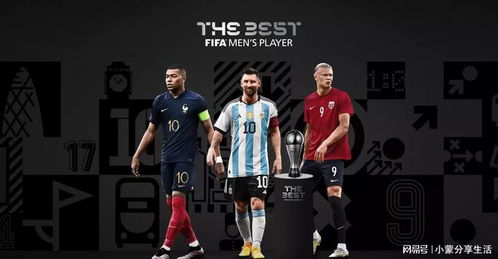 2023世界FIFA排行榜,2023世界FIFA排行榜揭晓