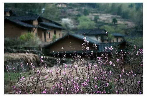 美丽乡村 天井山