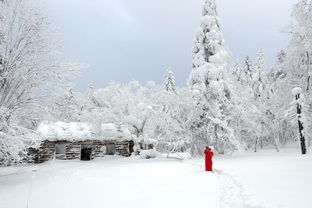 梦见冰天雪地 梦见冰天雪地的美景