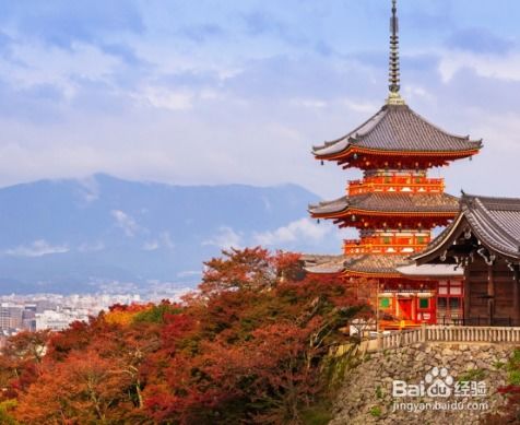 日本旅游景点,日本旅游攻略自由行