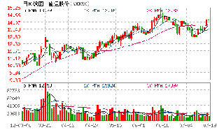 有“神”能分析下300090盛运股份吗