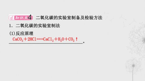 备战2022 浙教版科学 中考一轮 第31课时 空气 氧气 二氧化碳 二 知识梳理 22张PPT 