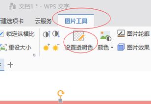 wps的ppt可以抠图吗 