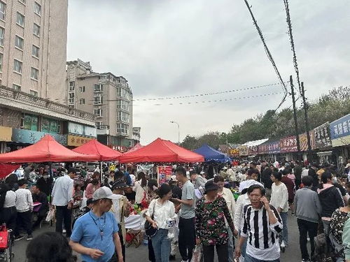 博山智能停车场,淄博琉璃大观园附近好停车吗