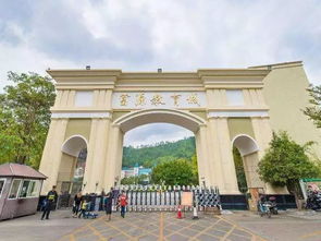 深圳富源学校遭重罚, 高考移民 的 代培模式 该如何规范