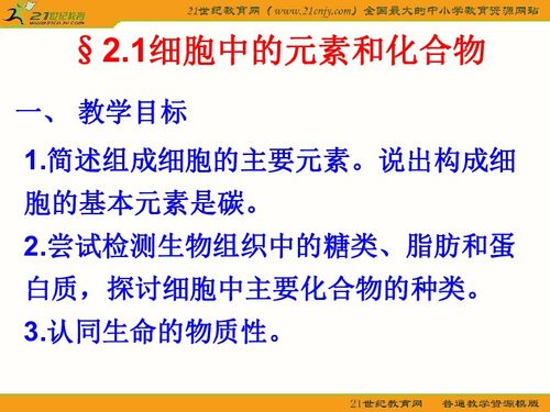 如何检测一个细胞中的蛋白质表达量