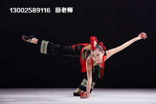 北京舞蹈学院哪个专业难考