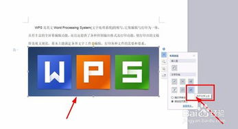 wps 文字怎么移动相片？wps文字怎么移动照片