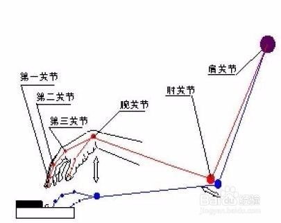 孩子学钢琴的正确步骤 