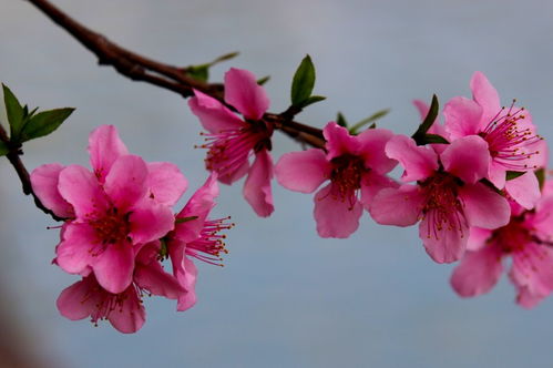 3月中旬财运翻倍上涨,轻松发财赚钱,富贵无尽的四属相