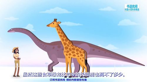 什么原因导致大型恐龙的出现霸王龙身长多少呢科普知识英语学习 