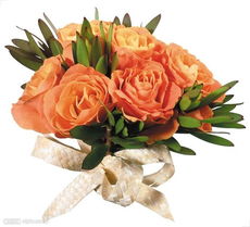 男的50岁生日送什么花,1. 玫瑰花束：玫瑰花是代表爱情的花卉，它们的花语是“我爱你”，非常适合用来表达对接受者的感激和爱意