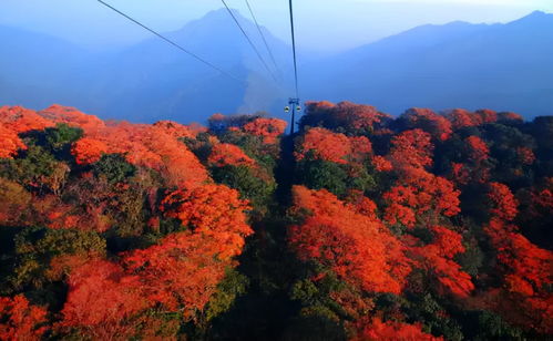 五一贵州旅游推荐