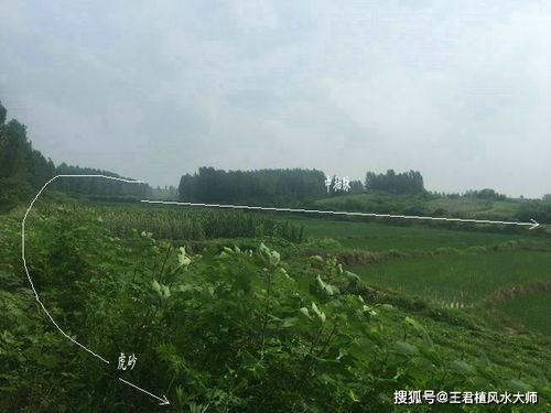 风水大师王君植河南信阳寻龙,实拍仙带脉风水宝地