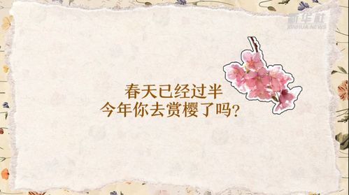 盘点樱花冷知识(樱花的科普)