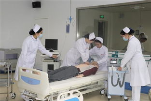 河北护理专业学校：打造专业医护人才的摇篮