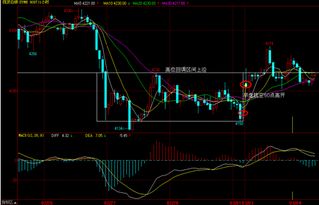 贵金属k线图中的大阴线、中阴线和小阴线各是指什么？