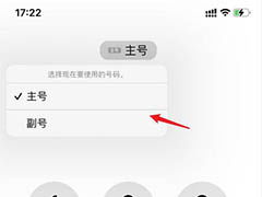 苹果xr打电话主副卡怎样切换，怎么切换到副卡打电话提醒