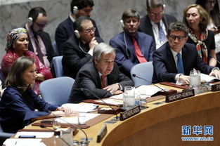 联合国秘书长呼吁在叙利亚问题上按 联合国宪章 和国际法行事 