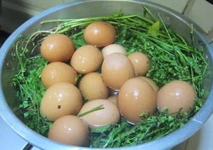 艾叶煮鸡蛋,艾草煮鸡蛋的功效