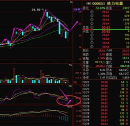 到底格力电器的主力搞什么？股票价格老是跳来跳去？