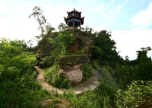 南充一日游旅游景点