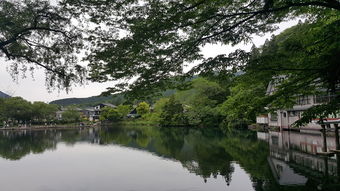  成都三日游的景点门票需要自己购买吗？