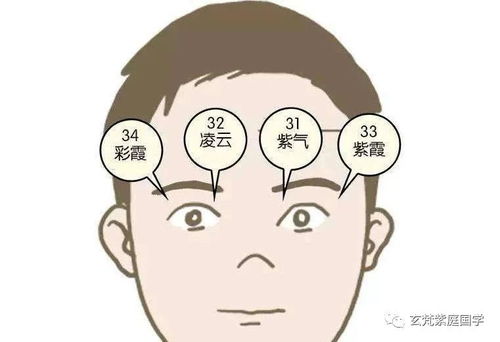 国外专家研究证明中国面相学的科学性 干货值得收藏