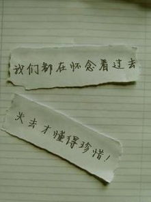 顺天然什么意思