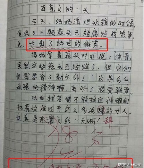 妈妈的话作文800字