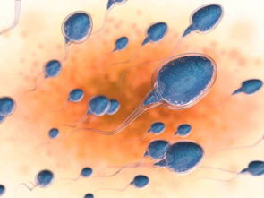 精子 可以在女人体内 存活 多久 看完或许可以帮你 受孕