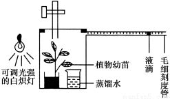 如图是江苏省某市建设的综合养鱼的生态系统的结构示意图.请分析回答. 1 从生态系统组成成分分析.能进行过程①的生物属于生产者.其中罗非鱼占第二营养级. 2 利用不同种鱼类栖息水层不同这一特点 