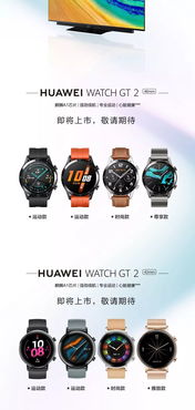 L1 mate30系列,华为智慧屏,watchGT2全面开启预售